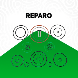 Reparo