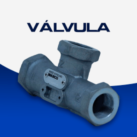Válvula