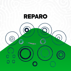 Reparo