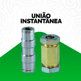 União Instantânea