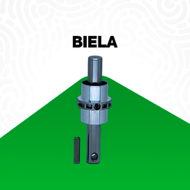 Biela