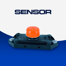 Sensor