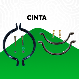 Cinta
