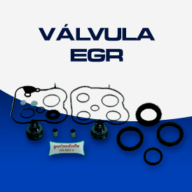 Válvula EGR