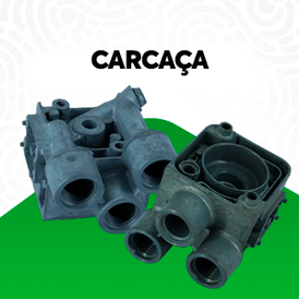 Carcaça