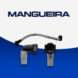 Mangueira