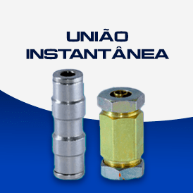União Instantânea