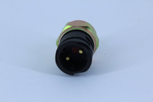 Interruptor pneumático 3-rho5597