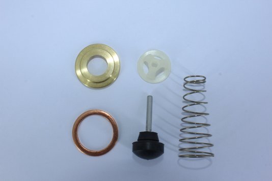 Reparo da válvula de retenção simples quinelato