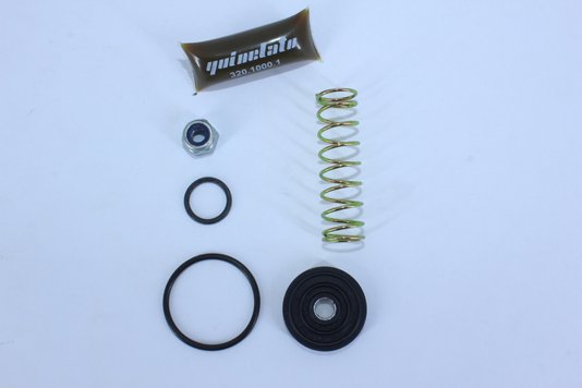 Jogo de reparo da válvula do manetim ford/ vw