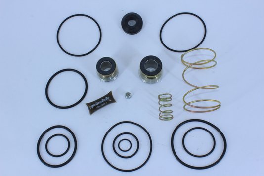 Jogo de reparo da válvula pedal bendix p/ ford sapão