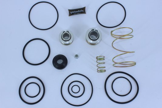 Jogo de reparo da válvula pedal bendix p/ ford sapão