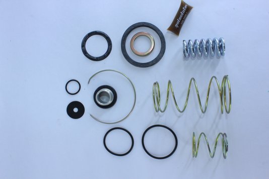 Jogo de reparo da válvula pedal simples quinelato