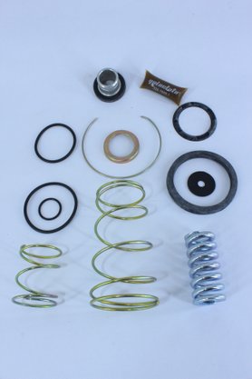 Jogo de reparo da válvula pedal simples quinelato