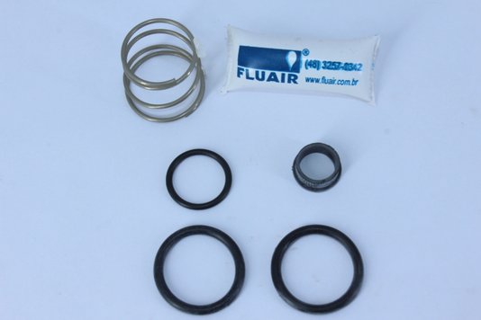 Reparo da válvula bloqueio fluair