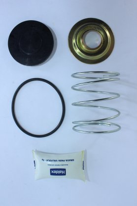 Reparo da válvula descarga rápida haldex