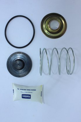 Reparo da válvula descarga rápida haldex