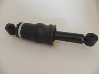 Conjunto mola pneumática da cabine traseiro iveco