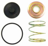 Jogo de reparo válvula de descarga rápida quinelato