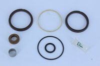 Reparo caneco médio caixa zf as-tronic rda