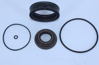 Reparo do cilindro da reduzida caixa zf corteco