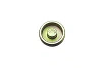 Tampa traseira catraca