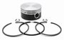 Jogo Pistão de Anéis para Compressor de Ar 100mm (STD) Mercedes-Benz